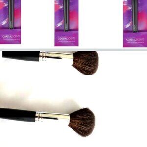Coastal Scents Classic Large Powder Brush Natural  4 count